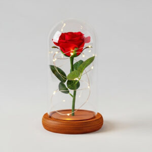 Red Rose in Glass Dome with Wooden Base & LED Lights